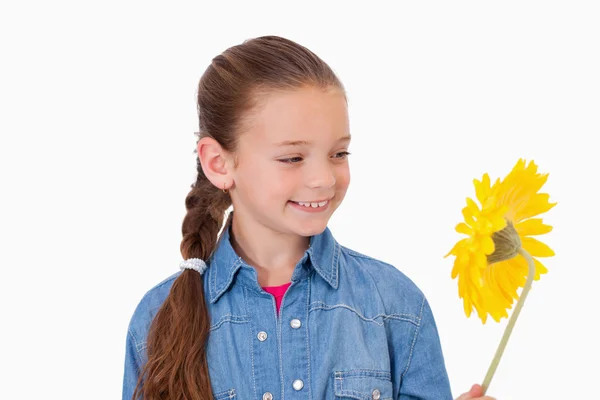 Девушка смотрит на цветок — стоковое фото