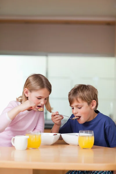 Retrato de crianças tomando café da manhã — Fotografia de Stock