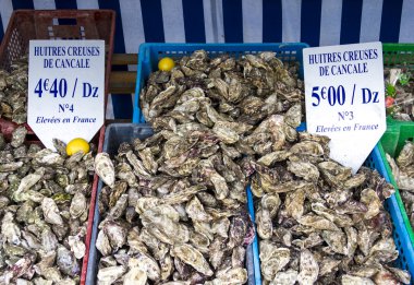 Fransa, brittany, cancale - istiridye çarşı Merkezi oyste için