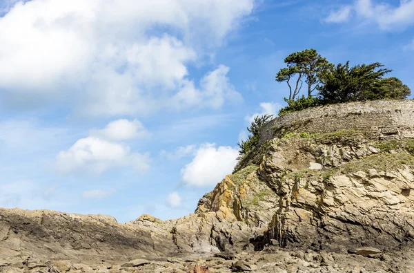 Lanskap dengan pohon pinus di tebing — Stok Foto