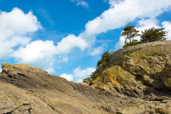 Landschaft mit Kiefern auf einer Klippe — Stockfoto