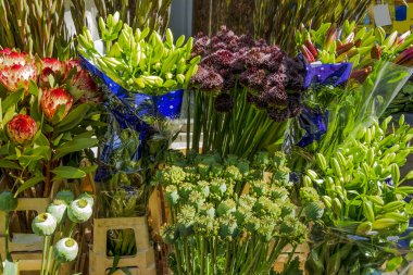 Flower market, poppy seed pods clipart