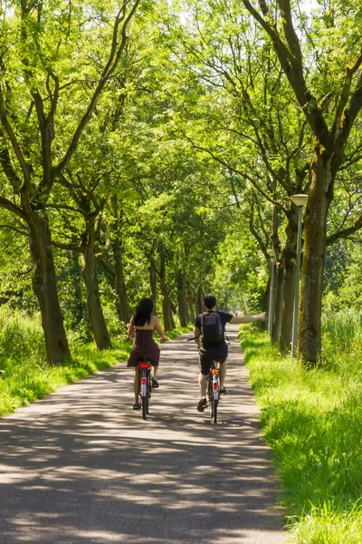 Couple riding bicycle along trees alley — Stock Photo, Image