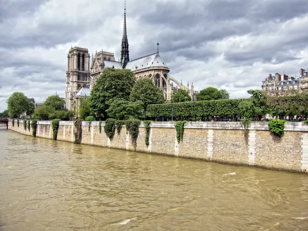 Paris. Cathedrale Notre Dame — Fotografia de Stock