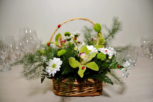 Flores de margueritas brancas e orquídeas — Fotografia de Stock