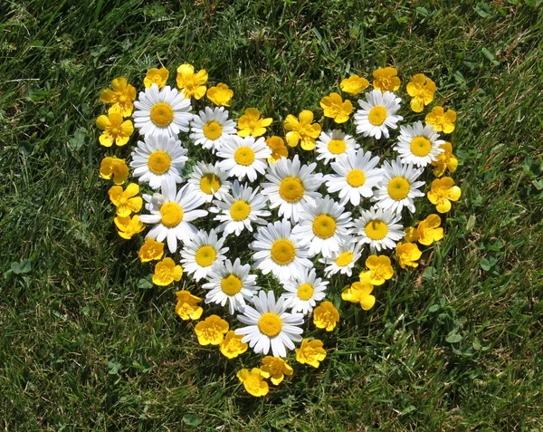 stock image Heart of flowers