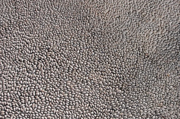 Background of sea pebble — Stock Photo, Image