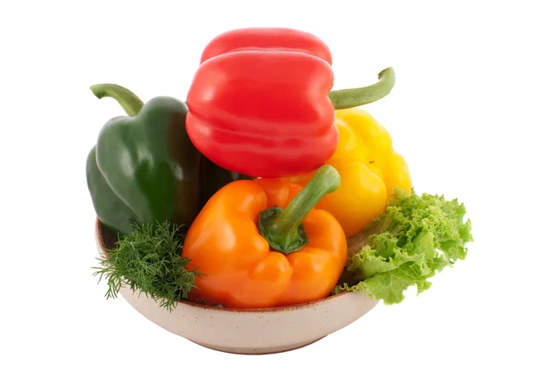 Čtyři různé papriky — Stock fotografie