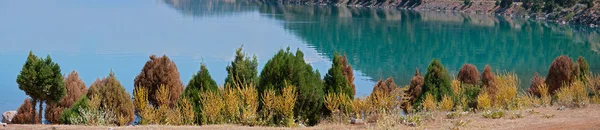 Jezioro i krzewów Obraz Stockowy