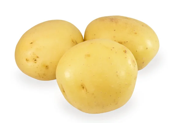 在白色背景上的三个土豆 — 图库照片