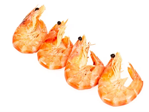 Quatro camarão cozido — Fotografia de Stock