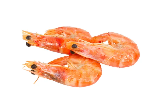 Três camarão cozido — Fotografia de Stock