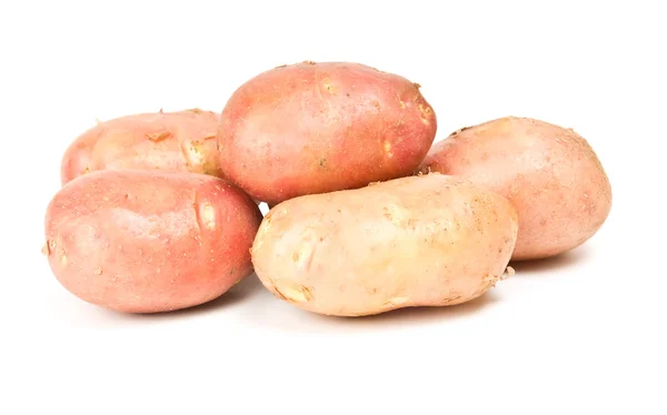 新作物土豆 — 图库照片