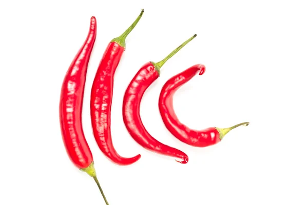 Röd varm chili paprika på vit bakgrund — Stockfoto