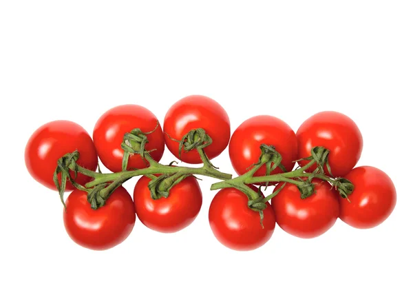 Rote Tomaten in einer dunklen Plastikbox, sie ist isoliert auf der weißen — Stockfoto