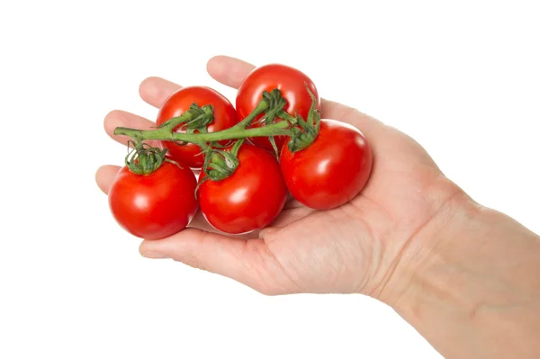 Rote Tomaten in einer dunklen Plastikbox, sie ist isoliert auf der weißen — Stockfoto
