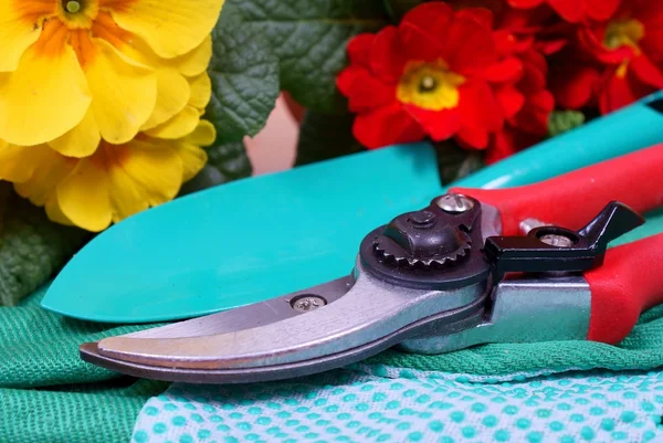 Gardening tools with flowers - detail — Stock Photo, Image