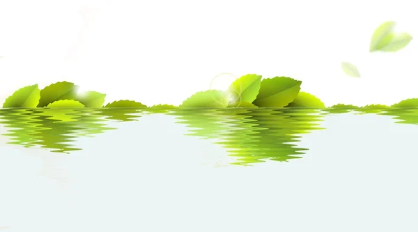 Zielone liście w wodzie - ilustracja — Zdjęcie stockowe