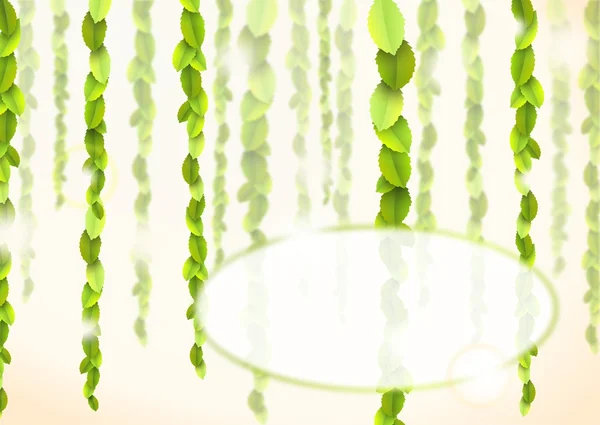 抽象 backround 緑つる植物と反射 — ストック写真