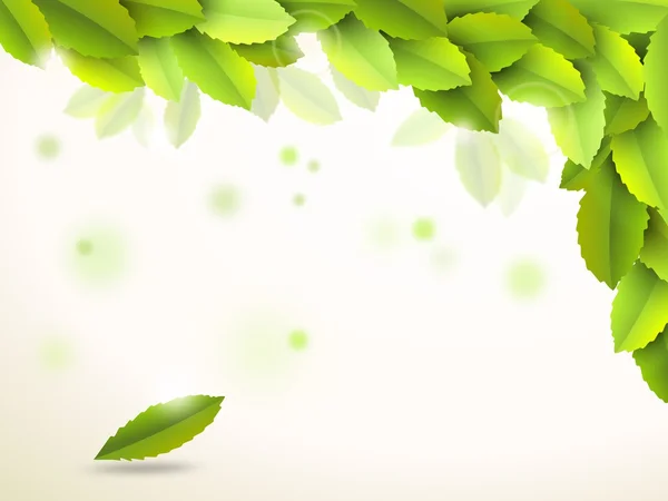 Abstrakt bakgrund med gröna blad — Stockfoto