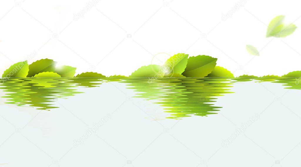 Green leaves in water - illustration