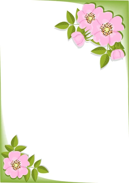 Background with wild rose — Stock Vector