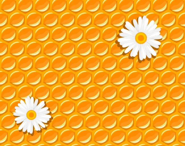 Seamless background - honeycomb and flowers of chamomile — Stock Vector