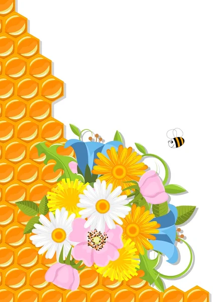 Bloemen en honingraat — Stockvector