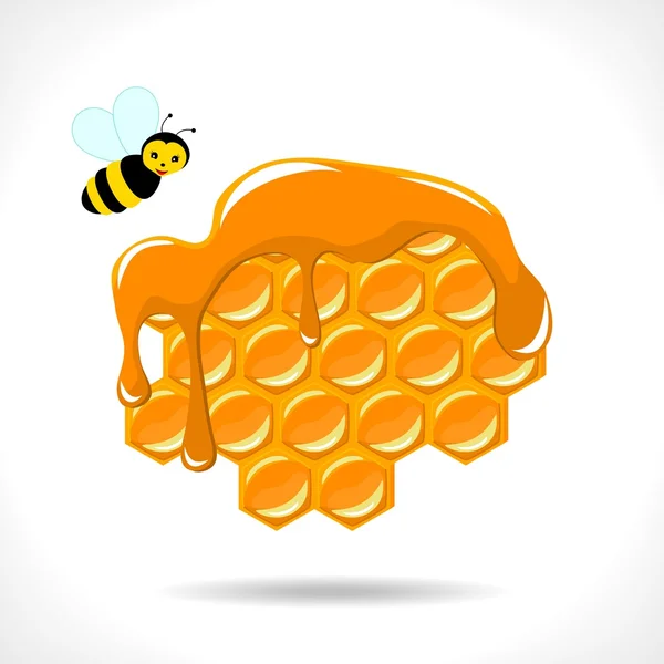 Honeycomb with a bee — Stock Vector