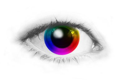 Color wheel in human eye clipart