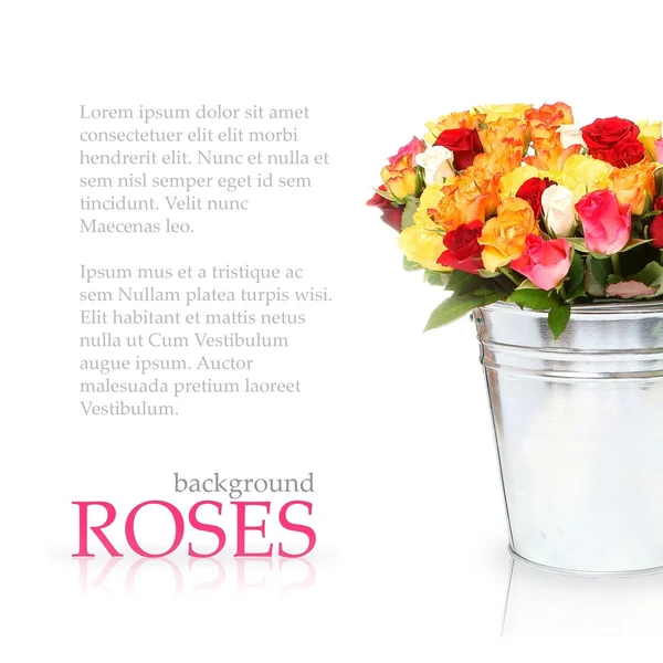 Háttér rózsákkal — Stock Fotó