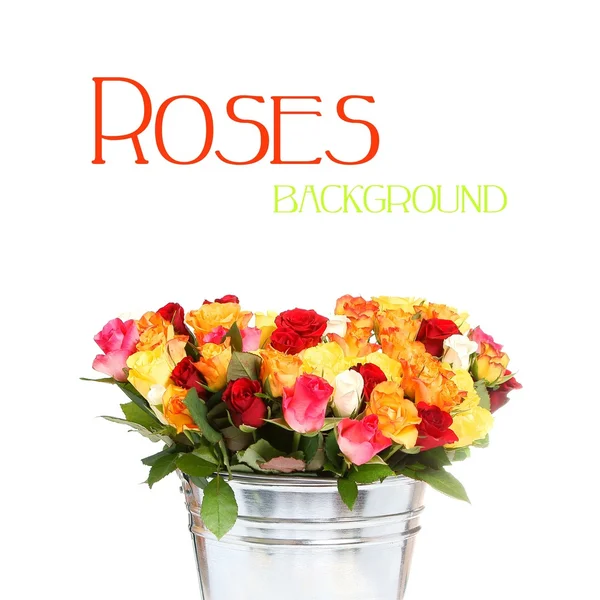 Background with roses — Stock Photo, Image