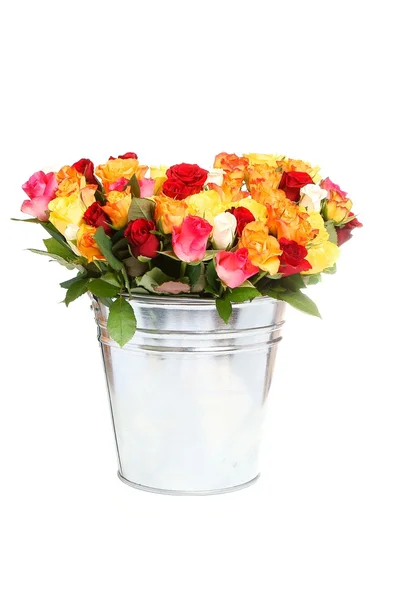 Roses in a tinny bucket — Stock Photo, Image