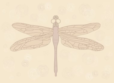 Dragonfly clipart