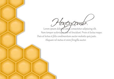 Vector background with structure of honeycomb clipart