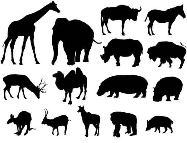 Large herbivores silhouette — Stock Vector