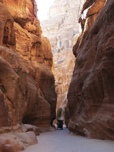 Siq de Petra —  Fotos de Stock