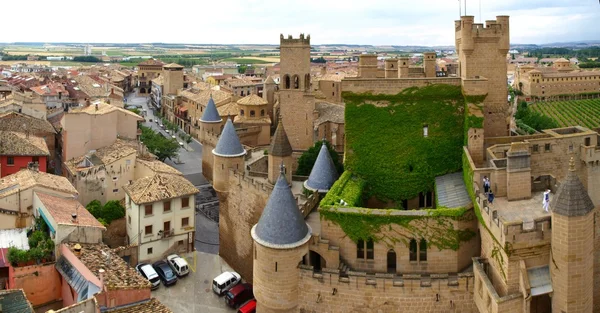 Panorama con Castello — Foto Stock