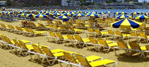 stock image Sea of Umbrellas