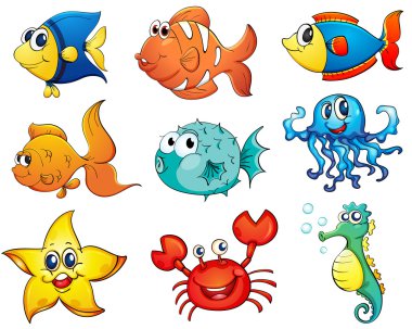 Fish collection clipart