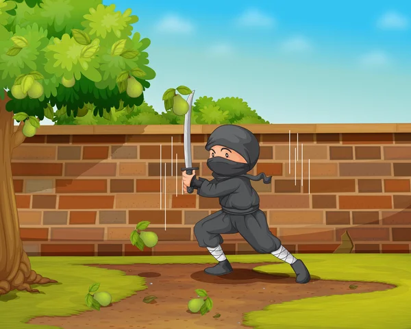 Ninja — Stok Vektör