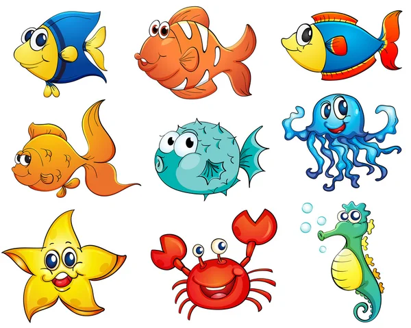 Fish collection — Stock Vector