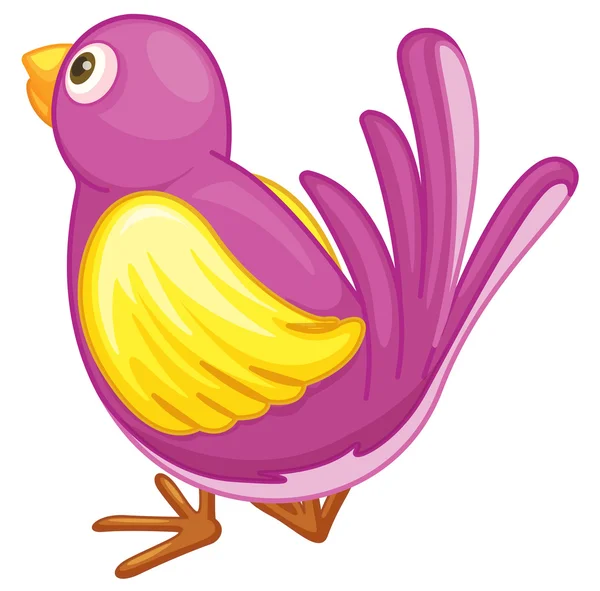 Purple bird — Stok Vektör