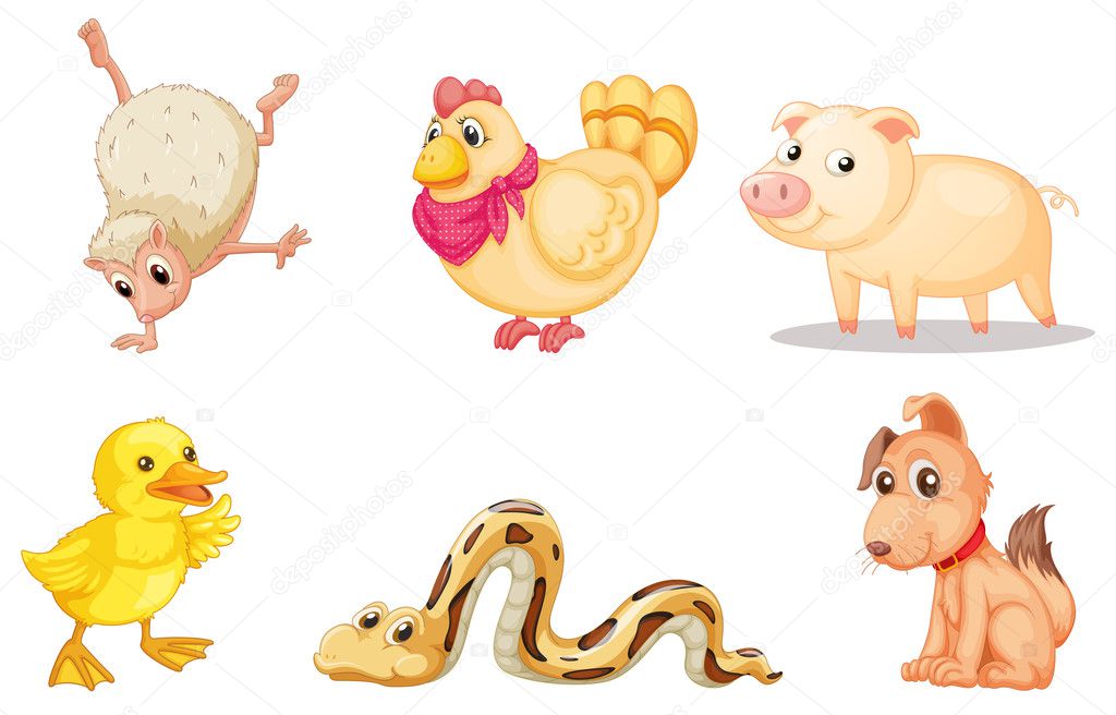 Group of animals — Stock Vector © interactimages #10748867