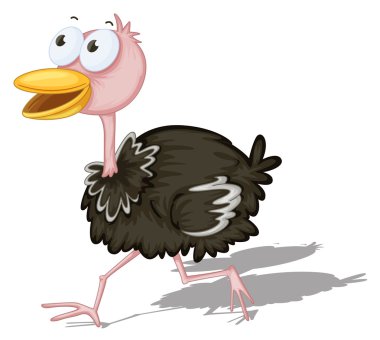 Ostrich clipart