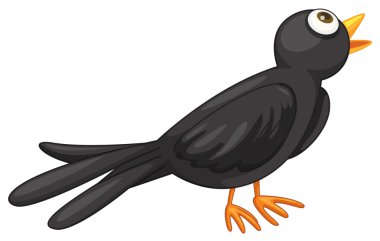 Black bird clipart