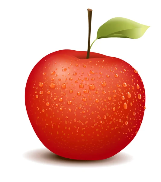 Manzana roja realista — Archivo Imágenes Vectoriales
