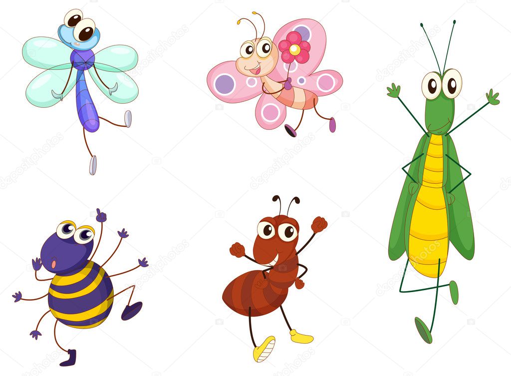 Mixed animals Stock Vector Image by ©interactimages #10764344