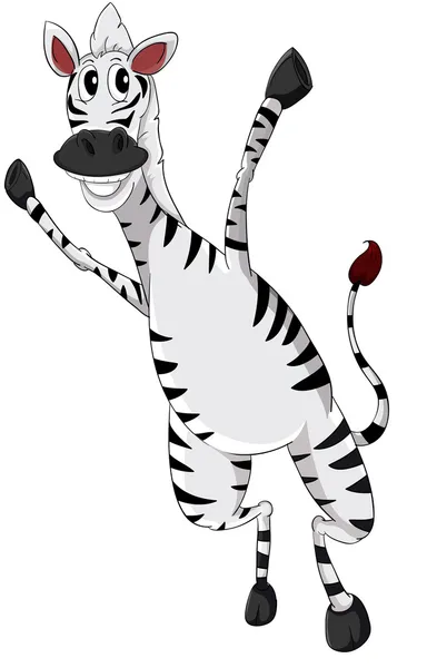 Zebra på vitt — Stock vektor