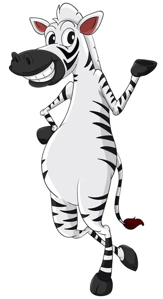 Zebra on white — Stock Vector
